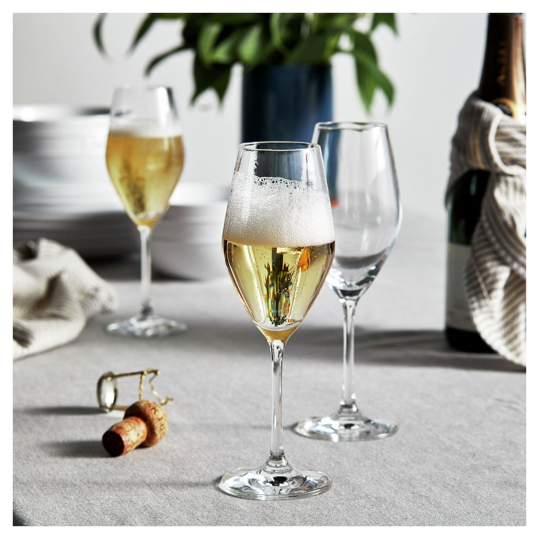 ZWILLING Predicat 6-pc Champagne Stem Glass Set, 8.9oz