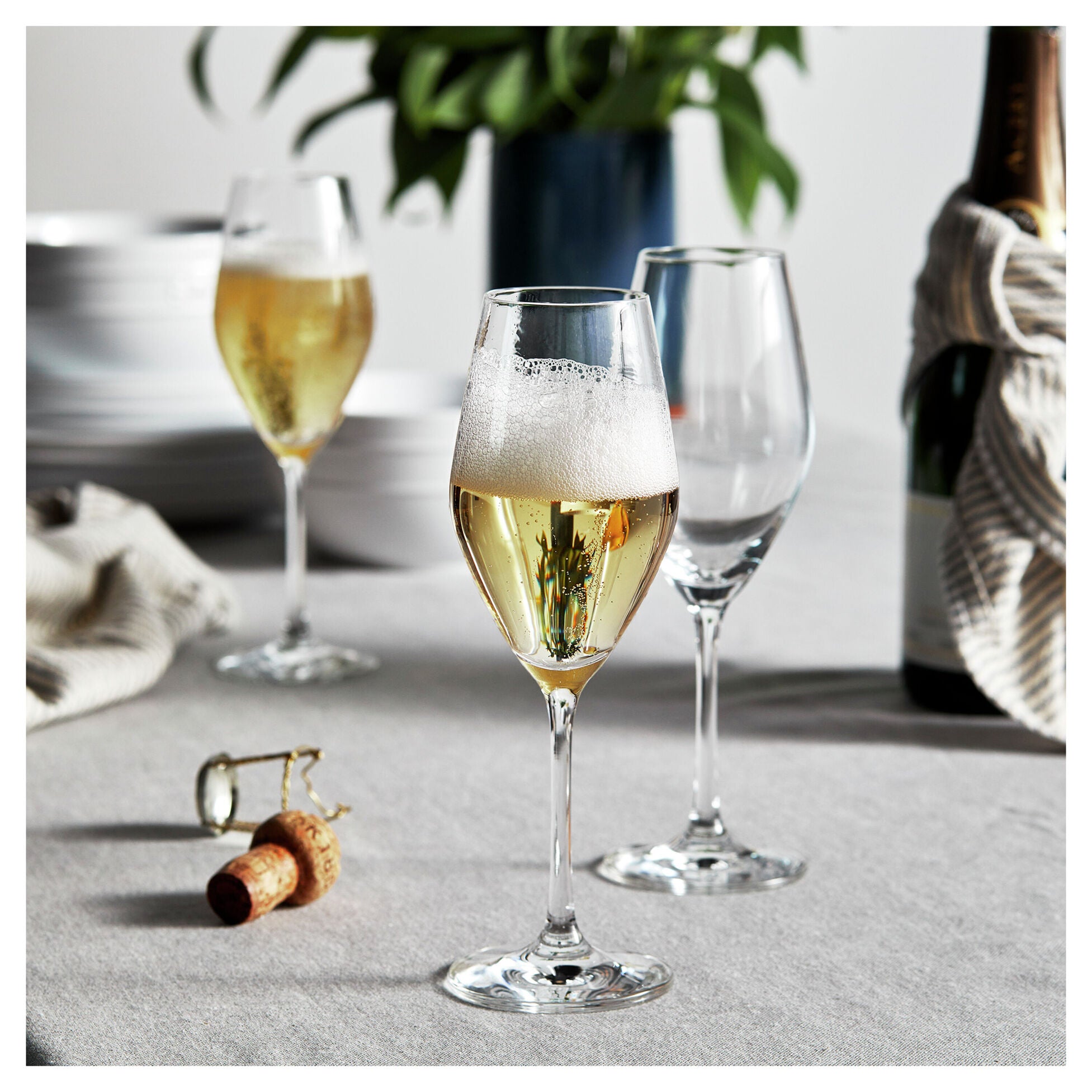 ZWILLING Predicat 6-pc Champagne Stem Glass Set, 8.9oz